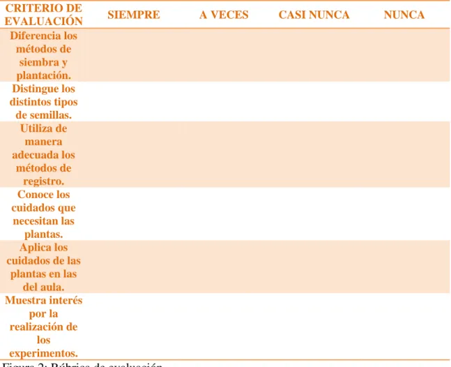Figura 2: Rúbrica de evaluación  
