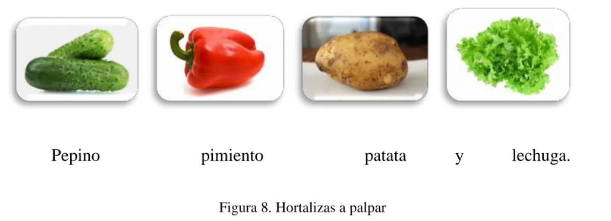 Figura 8. Hortalizas a palpar 