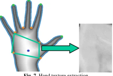 Fig. 7. Hand texture extraction 