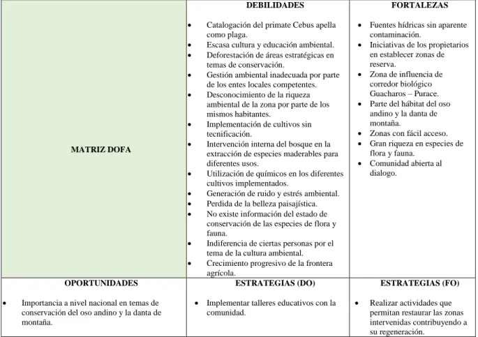 Tabla 2: Matriz DOFA - Zona de estudio Vda la Esperanza  Fuente: construcción Propia  