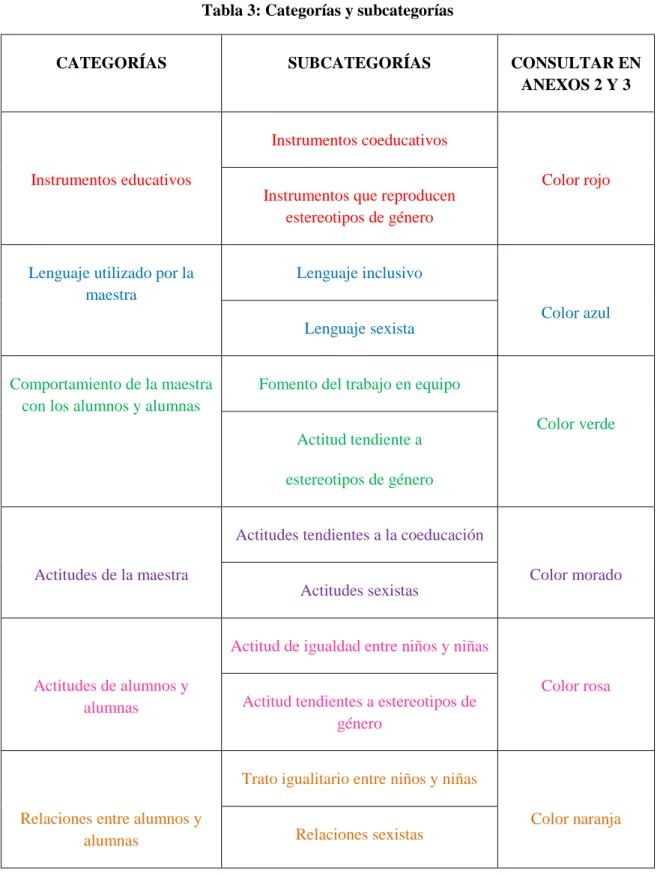 Tabla 3: Categorías y subcategorías 
