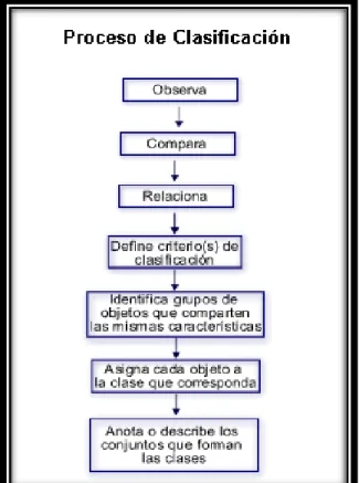 Figura 3.  Proceso de clasificación  Fuente: De Sánchez (1993) 