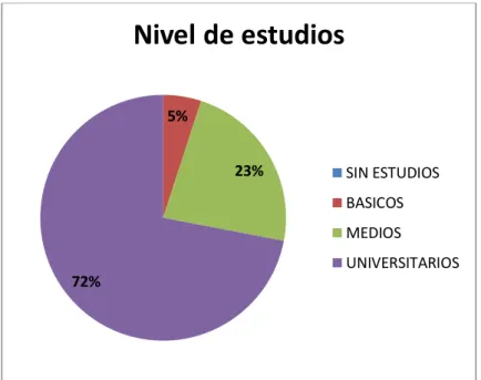 Gráfico 2.3. Nivel de estudios 