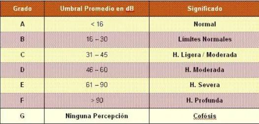 Gráfico N °5: Grados de Hipoacusia 