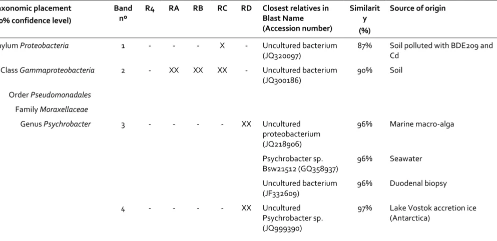 Table 2: Taxonomic position of the sequenced DGGE bands (RDP classifier tool; 50% confidence level) and corresponding closest 