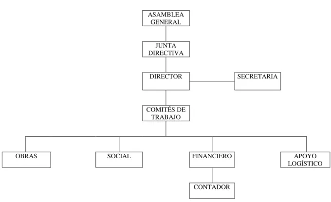 Figura 3.  Organigrama  ASAMBLEA  GENERAL  JUNTA  DIRECTIVA  DIRECTOR  SECRETARIA    COMITÉS DE  TRABAJO 