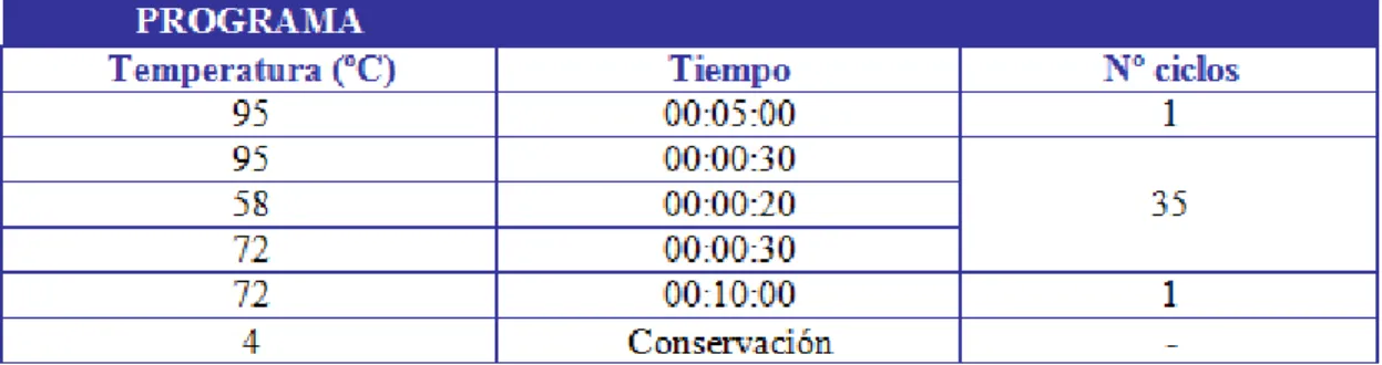 Tabla 6: Programa de PCR para el genotipaje de alelos HLA-DQ.  