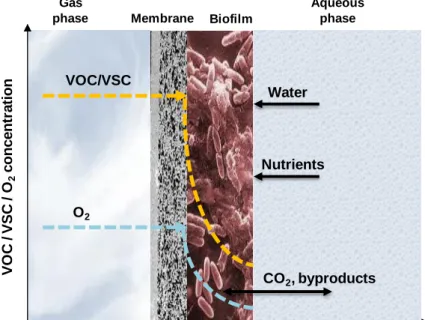 Fig. 1.11. Mass transfer mechanisms underlying VOC oxidation in gas-phase 