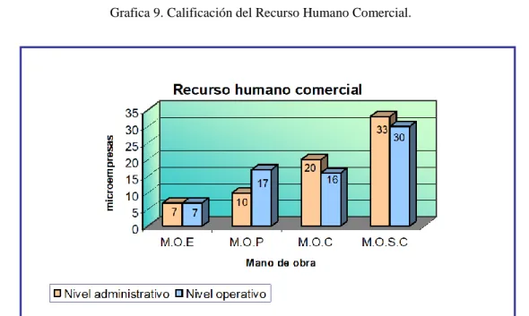 Tabla 5. Calificación del Recurso humano comercial. 