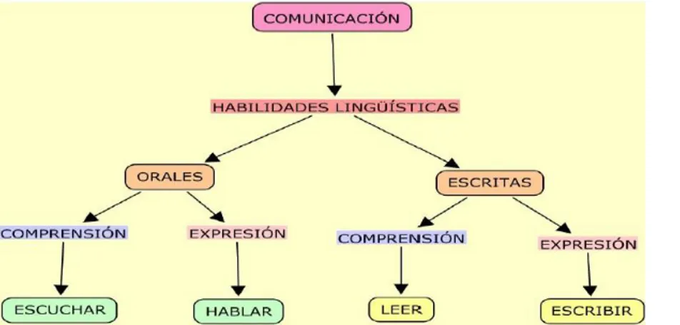 Figura 2. Habilidades lingüísticas 