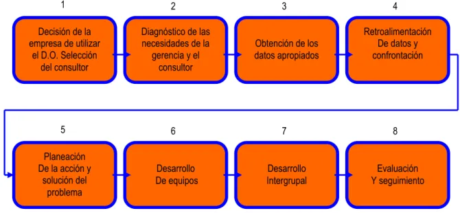 Figura 2. Etapas del proceso de D.O. 