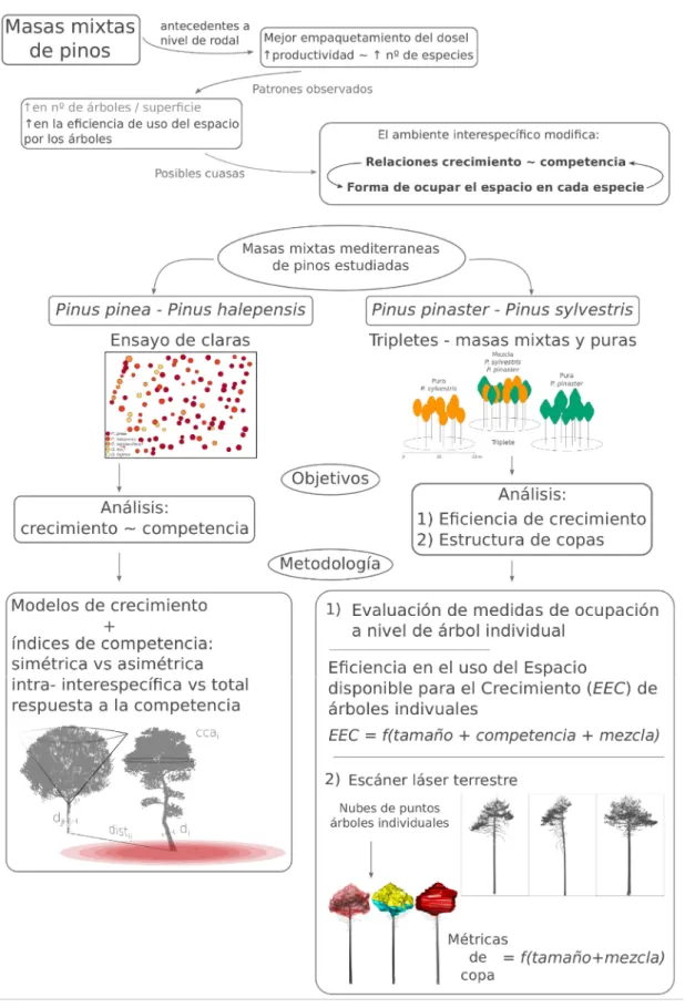 Figura 7.  Esquema de la tesis. 