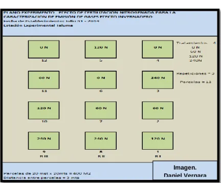 Figura 1. Plano del Experimento. 