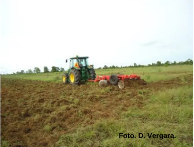 Figura 5. Preparación del terreno. 