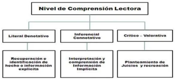 Figura 2. Dimensiones comprensión lectora Barret 