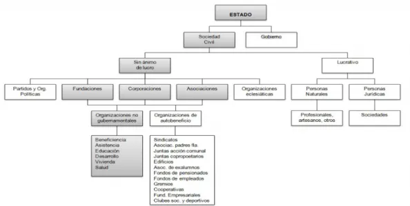 Figura 1.  Ubicación de las ONG en la estructura del Estado 