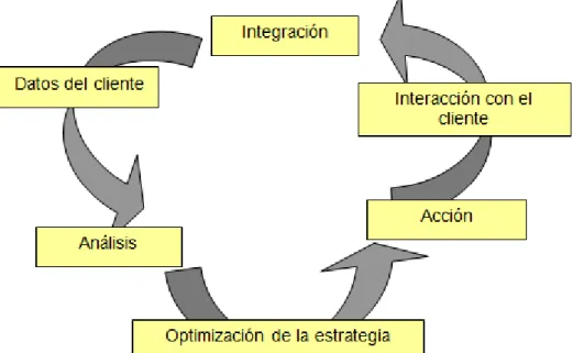 Ilustración Nº 1 Ciclo de vida C.R.M 