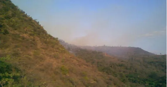 Figure 4: Part of natural forest of the study area affected by fire in Wondo Genet (Ethiopia) 