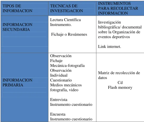 Cuadro Nº  5 Plan procesamiento de información 