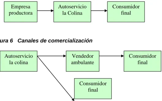 Figura   5  Canales De Distribución 