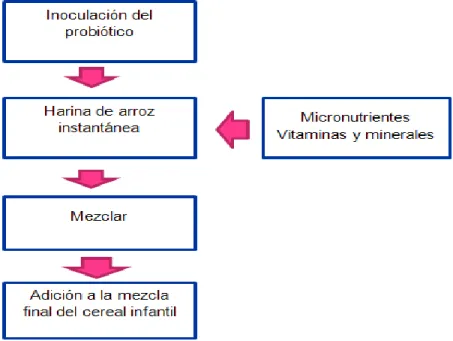 Figura  4:  diagrama  del  proceso  de  obtención  de  la  pre  mezcla  con  adición  del  probiótico