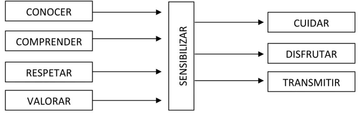 Gráfico  4:  Relación  de  procedimientos  en  el  diseño  de  sensibilización.  Elaborado por Fontal (2003) 