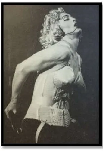 Figura 9. Madonna.