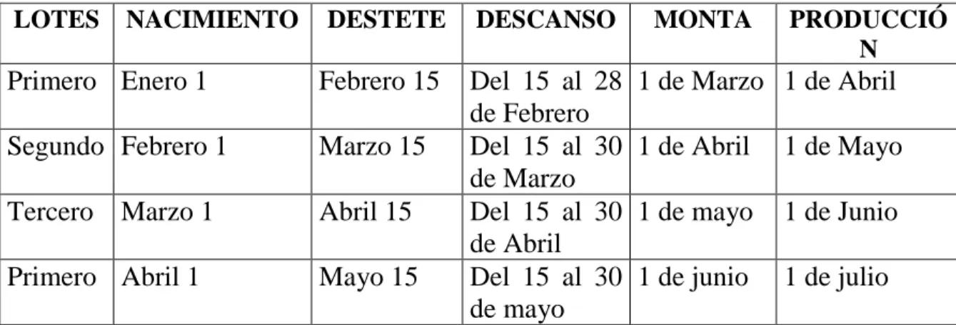 Tabla 9.   Programación de Conejas  