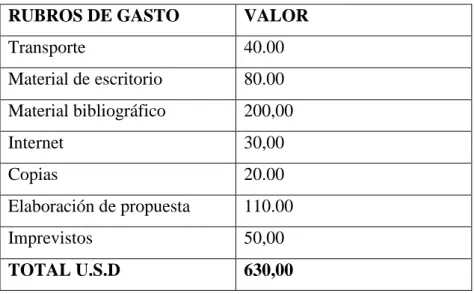 Cuadro Nº 28: Rubro  de Costos 