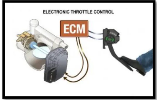Figura 4. ECM del vehículo. Recuperado de   http://psas.scripts.mit.edu/home/get_pdf.php?name=1-5-ETC-system-description.pdf 