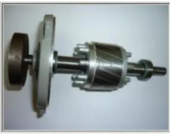 Figura 5.Rotor Jaula de Ardilla