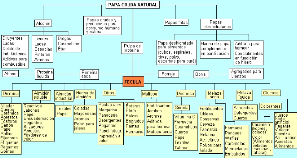 Figura 1. Utilización integral de la Papa 