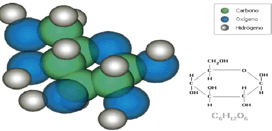 Figura 3. Estructura molecular de la glucosa 