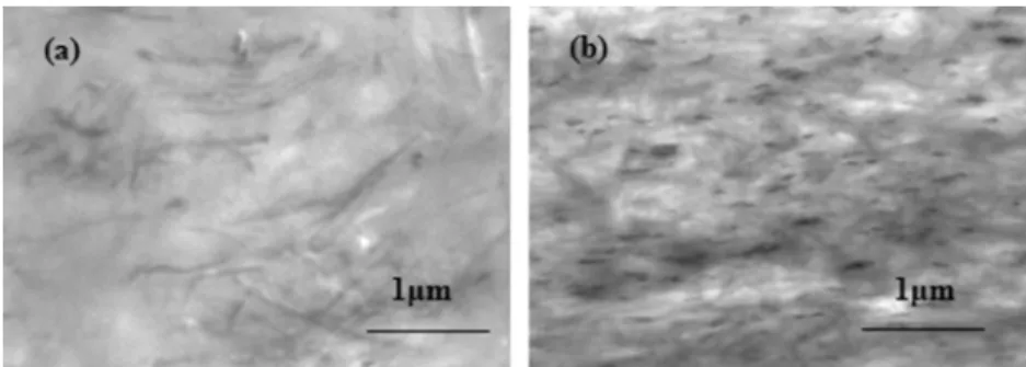 Fig. 1. TEM microphotographs of (a) SN2PE_2:1 and (b) BN2PE_2:1 samples.
