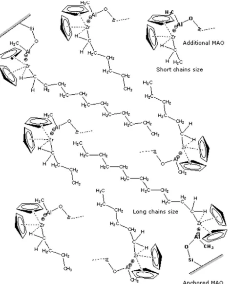 Fig. 4. Structure of the polymeric chain synthesized from both anchored and additional free MAO.
