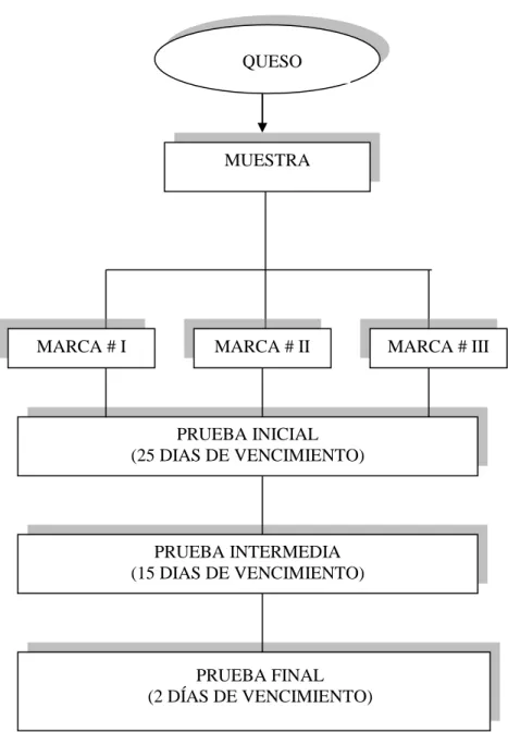 Figura 2.  Esquema representativo del diseño experimental 