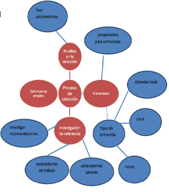 Gráfico  4: Constelación de Ideas de la Variable independiente  Elaborado por: Gabriel Córdova  