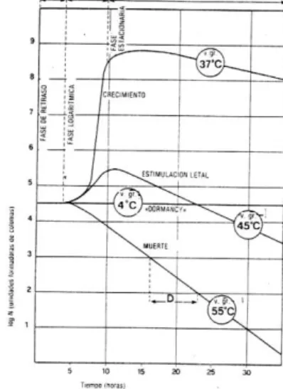 Figura  5.  Variaciones  numéricas  de  una  población  microbiana  dependientes  del  tiempo  de  permanencia  a  diversas  temperaturas, siendo óptimas las restantes circunstancias