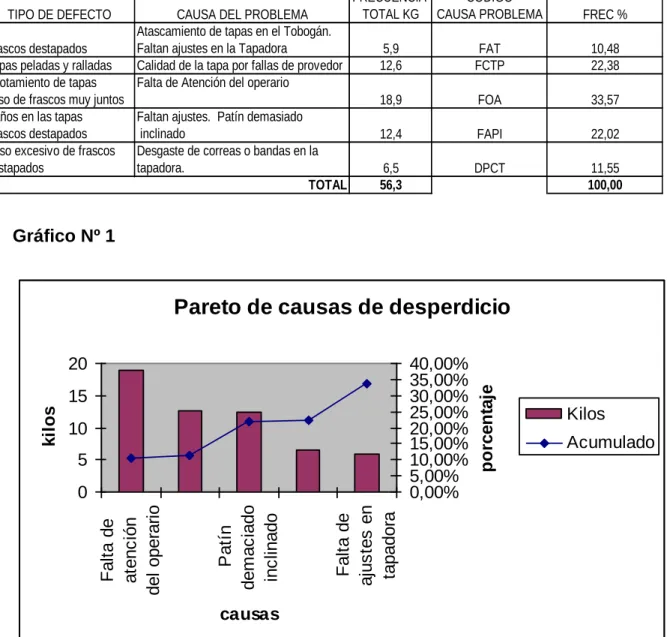 Gráfico Nº 1 