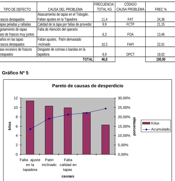 Gráfico Nº 5 