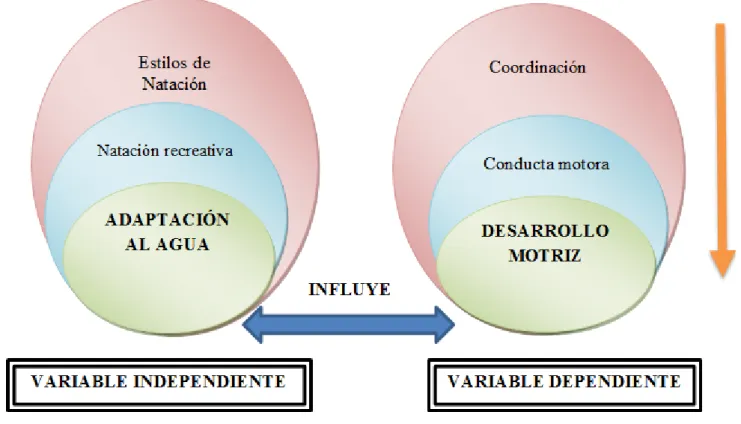 Gráfico N°. 2  Categorías Fundamentales 