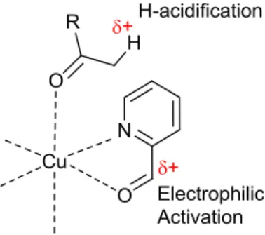 Figure 1. Scheme of the synthetic approach for the in situ aldol addition promoted by Cu(II)