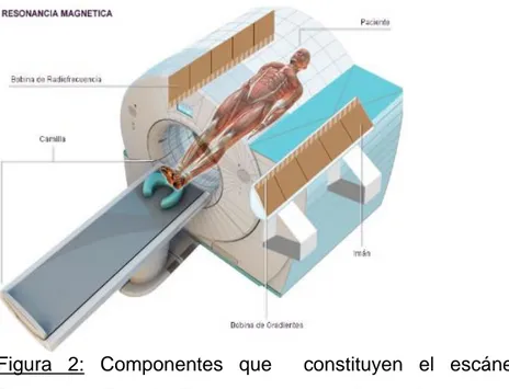 Figura  2:  Componentes  que    constituyen  el  escáner  de  RMI.  (Molina  Domínguez Beatriz