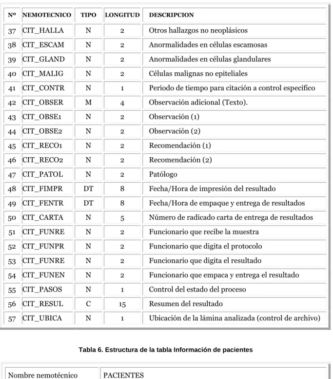 Tabla 6. Estructura de la tabla Información de pacientes 
