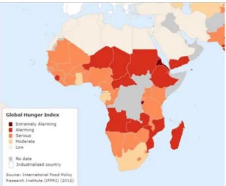 Figura 3.3 Mapa de la inseguridad alimentaria 