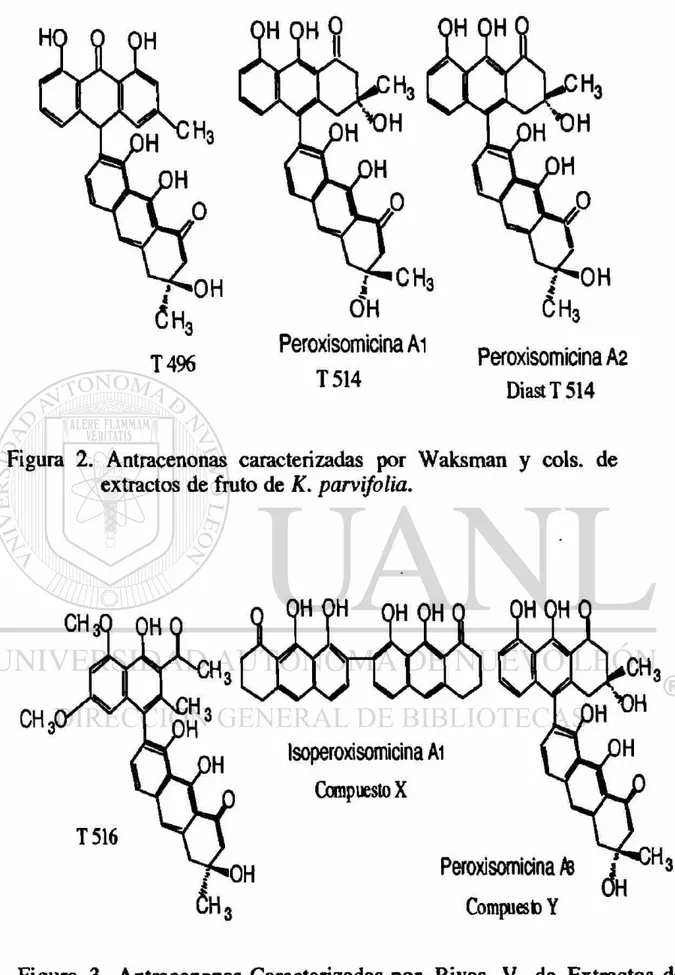 Figura 2. Antracenonas caracterizadas por Waksman y cois, de  extractos de fruto de K