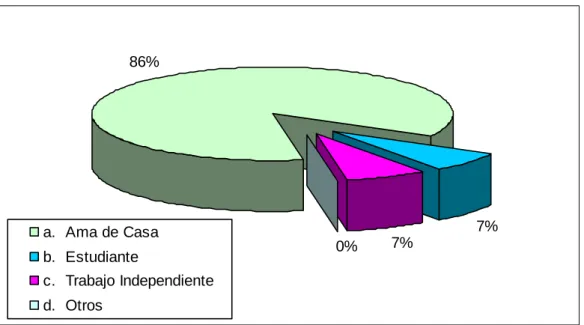 Gráfico 8.  Ocupación  