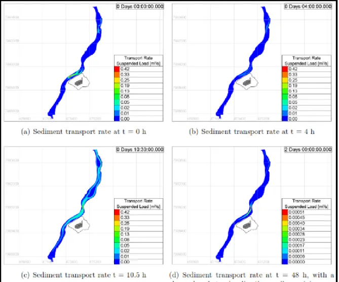Fig  2:  Evolution  of  sediment  transport  rate  from  0  to  48hours,  to  be  used  at  the  simulation  of  metal 