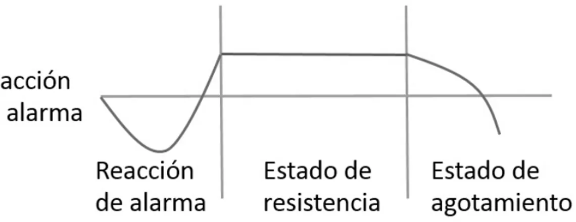 Figura 10. Fases del Síndrome  general de adaptación (Selye, 1960).  b) Modelo  transaccional  del  estrés   