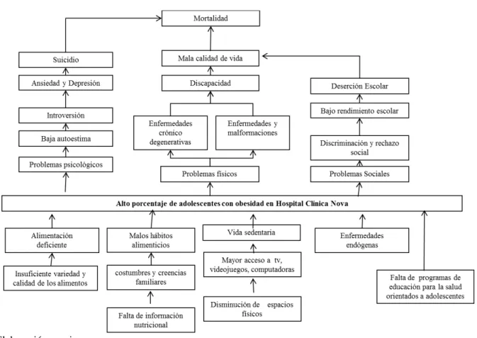 Figura 3. Árbol de problemas  
